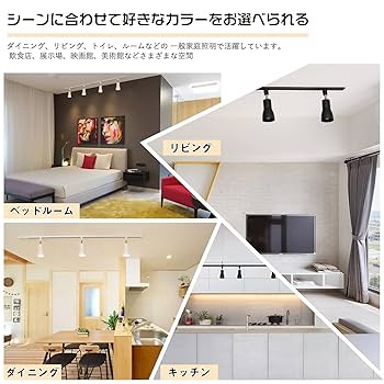 Amazon.co.jp : 共同照明 ダクトレール用スポットライト E26